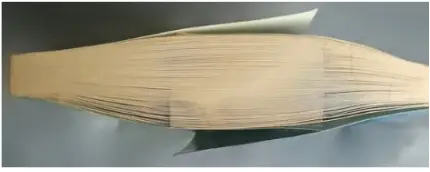 亲子游泳水中技巧有什么_亲子游泳水中技巧有哪几种_亲子游泳水中技巧有哪些