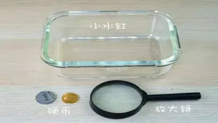 亲子游泳水中技巧有哪些_亲子游泳水中技巧有什么_亲子游泳水中技巧有哪几种