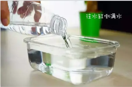 亲子游泳水中技巧有哪些_亲子游泳水中技巧有哪几种_亲子游泳水中技巧有什么