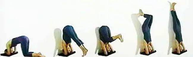 孙俪私教健身房_孙俪健身房照片_孙俪与健身教练
